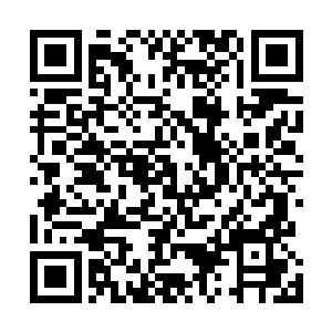 逐步的也是盯上了这一头盘踞在这一片区域的蛇形海兽了二维码生成