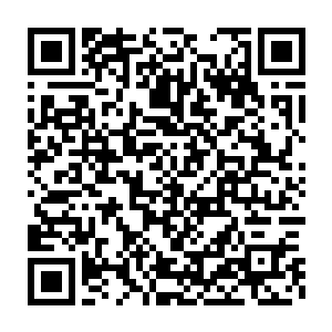 逐渐围聚到火堆边烤火跟聊天的司机倒是让巴克听清了他们的话语二维码生成