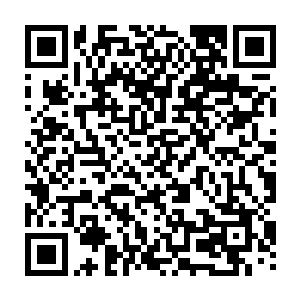 逐渐恢复了感知能力的异虫和凶兽少部分扑向重伤的狼人伯爵和高胡老者二维码生成