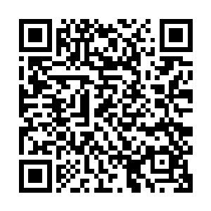 逐渐的我们两个战斗的余波已经好似海啸一般冲着四周扩散出去二维码生成