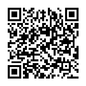 途中那几名主神境的青年男女不时的对他问东问西二维码生成