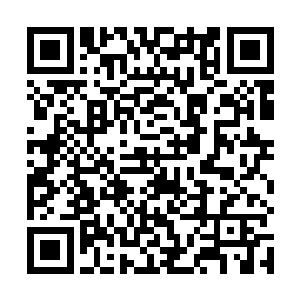 逗了一早上都没有任何成果的丹宝瞬间惊喜地大喊起来二维码生成
