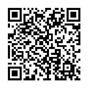 逗得一侧的琳琅和青语差点将嘴里的一口汤给喷了出来二维码生成
