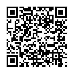 通……通知你爸……就说……星……星火又出现了……二维码生成