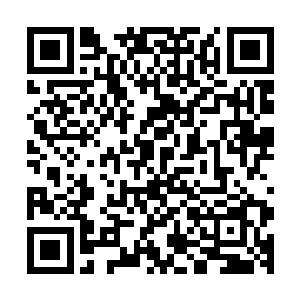 通体没有半点神异气息的翠竹却硬生生的挡住了那雕像的右手二维码生成