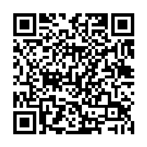 通天古卷是引导他走上修者之路的一套至关重要的功法二维码生成