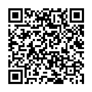 通常一些大家族中的长老会对家族中的得意弟子种上二维码生成