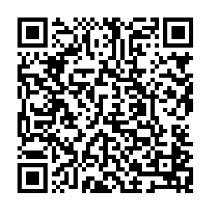 通常只有重要国家领导人和一些暗中的大佬才能够享受到这三棵大红袍树的茶叶二维码生成