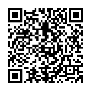 通常哪怕是一个实力不强的炼丹师身边也会有不少修士跟在身边二维码生成