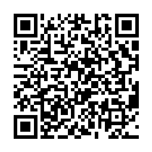 通常大家都是看测试骨器的分数来判断该骨器的级别二维码生成