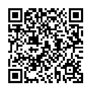 通常女子的婚事都会成为一种家族间相互挟持〡利用的工具二维码生成