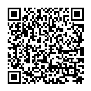 通常情况下只有实力和玄黄兽处于同一水平的强者才能破开它们身躯的防御力二维码生成