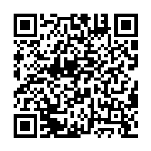 通常这种情况都发生在那辛寺在健身房擦地板的时候二维码生成