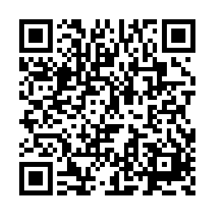 通灵……我的脑子里面不由得浮现出了一个词语二维码生成