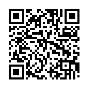 通肇事人员进行了严格的盘问和预审二维码生成