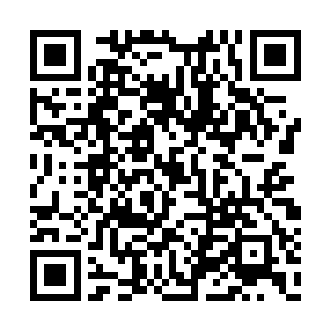 通讯频道中传来的惨叫和呻吟实在叫人心烦意乱二维码生成