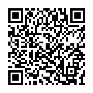 通过……咳咳特别的能力获得过一些特别的东西二维码生成