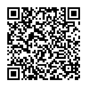 通过仆人们口中的交谈确定了今晚城主莫里斯要在实验室里过夜之后二维码生成