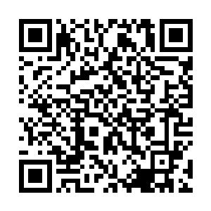 通过击打鸿蒙至尊甲而产生的震击就完全伤害不到韩风二维码生成