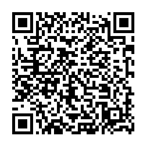通过在每个城市的赏金工会中发布寻找楚旬的任务来尽可能搜寻楚旬的下落二维码生成