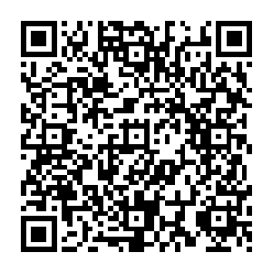 通过它们的眼睛来看看到底是海中还会出现什么样的怪物能让这些死脑筋的二百五鱿鱼害怕二维码生成