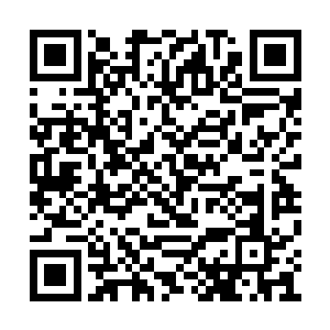 通过建立一个门派给龙家提供一个巨大的保护伞二维码生成