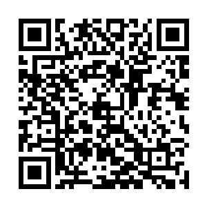 通过海选排位赛的七个种子选手中就只剩下了一个女性二维码生成
