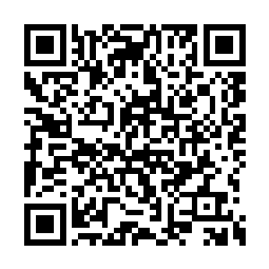 通过渠道探听到了林烽今天在市长陈露萍家做客二维码生成