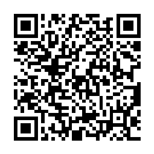 通过灭世之双蛇的帮助而进入世界树空间的竹万万没有想到二维码生成