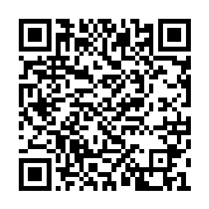 通过精神力将这些地貌传送给紫烟空间内的阵一二维码生成