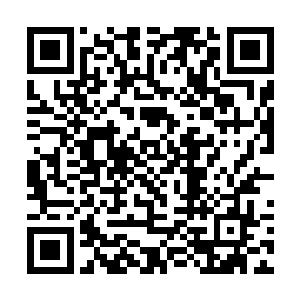 通过自己探索就算终有一天可以领悟到这个终极奥义二维码生成