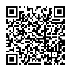 通过这样的方式先让杨风失去他最强大的轮回武魂二维码生成