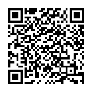 通过这次对战想必你们都会对查克拉的控制也有所长进二维码生成