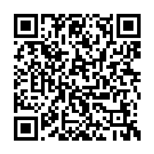 通过高级的血脉对古勃勒产生轻微的暗示和影响二维码生成
