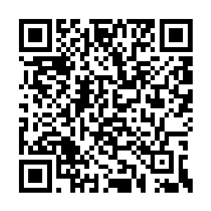 通道……天城想在我洗尘仙门修通道自然是可以二维码生成