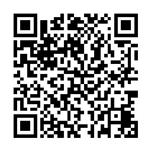 速度之快带动起来的波浪让得秦宇这艘游艇都跟着晃动起来二维码生成