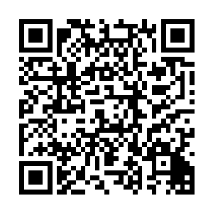 速度居然快到了我体表的能量来不及做出反应……二维码生成