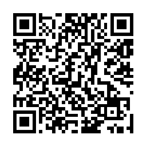 速度比起之前的几件宝贝来说简直根本就不是一个档次的二维码生成