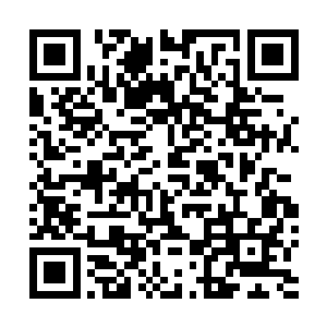 速度毫无疑问是考量一个武者综合战力最重要的指标之一二维码生成