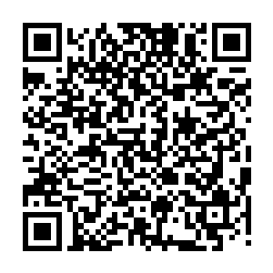 速度自然比之前还要更快一些了……也算是弥补了裂风狼王之前存在的缺陷了二维码生成