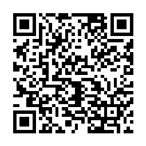 速度飞快地动手把金发盘成一个发髻――镜头给了一个特写二维码生成