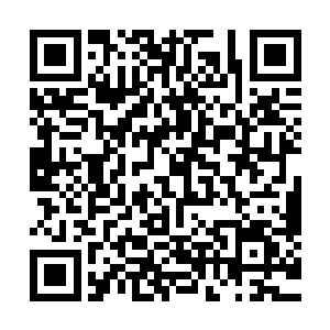 造化图空间之中的先天灵气也疯狂的朝着杨戬的身边汇集过来二维码生成