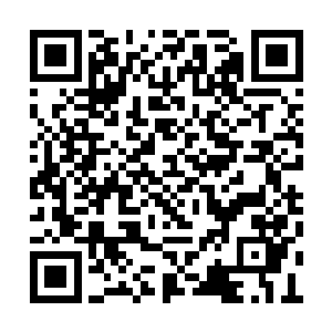 造化圣子虽然已经被定为圣族下任圣皇的继承者二维码生成