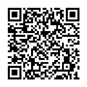 造化峰的派系之中出现了几个身份十分高的叛徒二维码生成