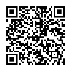 造化液源源不断的朝着龙傲天手中的玉瓶之中狂涌而来二维码生成