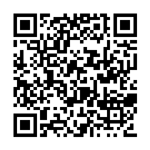 造就了每次派去的人都是碌碌无为但求无过的人二维码生成