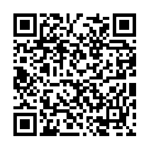 造成这样的原因很可能是因为巫果接受了他的血脉二维码生成