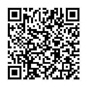 逼迫希拉木伦不得不将自己的长刀从盾牌底下刺出去二维码生成