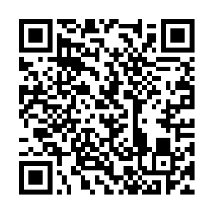 逼迫特的父亲用特的亲族鲜血取出自己体内的能量二维码生成