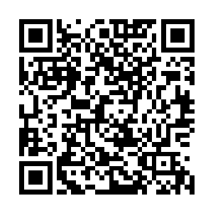 遂把前几日得知并与鲁肃以及顾雍商议的事情一一说了出来二维码生成